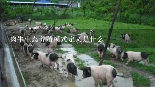 肉牛生态养殖模式定义是什么