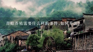 青蛙养殖需要什么样的条件,如何养法?