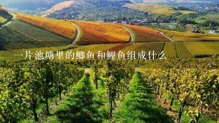 1片池塘里的鲫鱼和鲤鱼组成什么