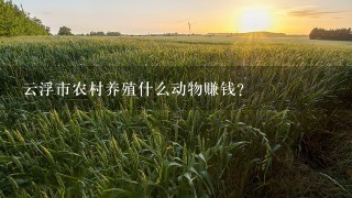 云浮市农村养殖什么动物赚钱？