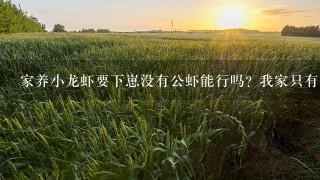 家养小龙虾要下崽没有公虾能行吗? 我家只有1个肚子上有籽的母虾 没有公的 那个虾能下出来崽吗