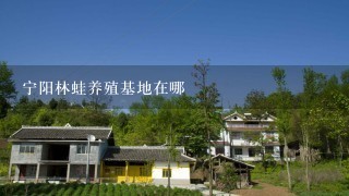 宁阳林蛙养殖基地在哪