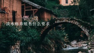 淡水虾养殖有什么要求