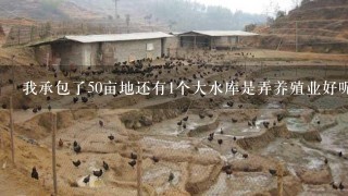 我承包了50亩地还有1个大水库是弄养殖业好呢还是种果树好呢？请给与详细解答谢谢！