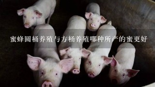 蜜蜂圆桶养殖与方桶养殖哪种所产的蜜更好