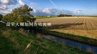 温室大棚如何养殖泥鳅