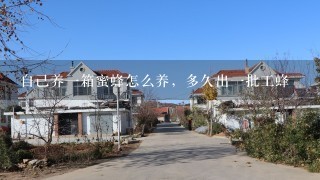 自己养1箱蜜蜂怎么养，多久出1批工蜂