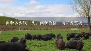 肉驴多少钱1头，肉驴价格，肉驴养殖场