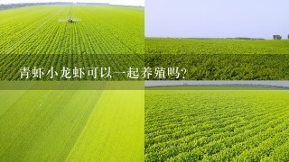 青虾小龙虾可以1起养殖吗？