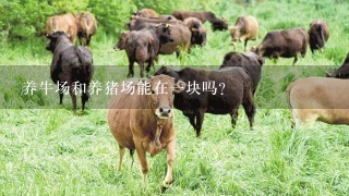 养牛场和养猪场能在1块吗？