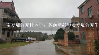 南方适合养什么牛，多雨潮湿的地方适合养牛吗？