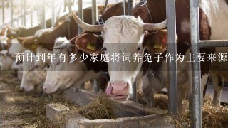 预计到年有多少家庭将饲养兔子作为主要来源的食物和收入？