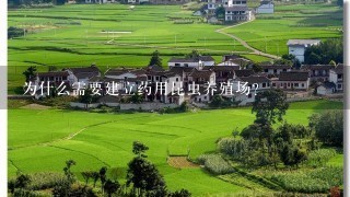 为什么需要建立药用昆虫养殖场？