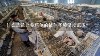 什么是适合养鳄龟的最佳环境温度范围？