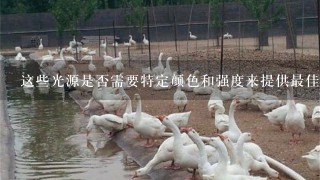 这些光源是否需要特定颜色和强度来提供最佳结果？