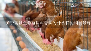 关于黄颡鱼养殖饲料您认为什么样的饲料最好