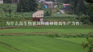 为什么高生物量饲料能够提高生产力性