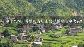 为什么四川养殖的青蛙主要以稻草蛙为代表