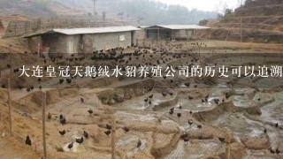 大连皇冠天鹅绒水貂养殖公司的历史可以追溯到多少年前？