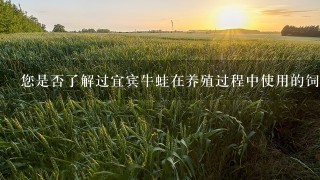 您是否了解过宜宾牛蛙在养殖过程中使用的饲料成分有哪些