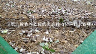 你能告诉我养蓝莓的家庭种植园应该具备哪些条件