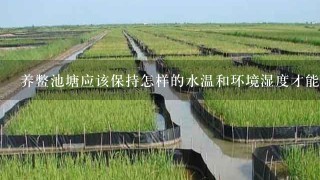 养鳖池塘应该保持怎样的水温和环境湿度才能提高养鳖健康水平并最大限度地增加养鳖产量呢