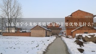 山东济宁小龙虾养殖基地的主要优势是什么