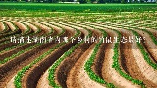 请描述湖南省内哪个乡村的竹鼠生态最好