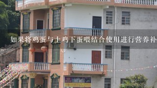 如果将鸡蛋与土鸡下蛋喂结合使用进行营养补给是否更有效