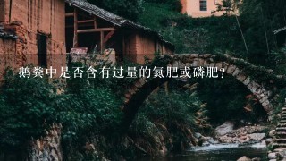 鹅粪中是否含有过量的氮肥或磷肥