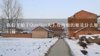 我们开始了Question头上有肉瘤的雁是什么雁