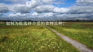 如何为蛇选择合适的食物品种