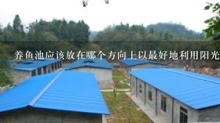 养鱼池应该放在哪个方向上以最好地利用阳光或遮阴