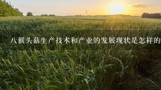 八猴头菇生产技术和产业的发展现状是怎样的