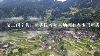 第二问辛集市麝香鼠养殖基地拥有多少只麝香鼠