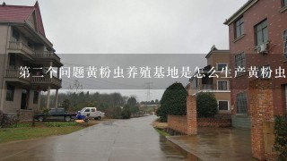 第二个问题黄粉虫养殖基地是怎么生产黄粉虫的