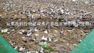 如果我们投资建设水产养殖基地想要引进潜江龙虾养殖技术您认为应该如何进行合作和协调工作呢