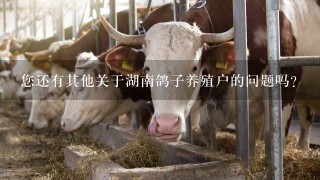 您还有其他关于湖南鸽子养殖户的问题吗