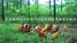 是的我可以告诉您2016年全国蛋鸡养殖补贴的申报流程包括提交所需材料以及填写申请表格等等五2016年全国蛋鸡养殖补贴的具体金额是多少呢