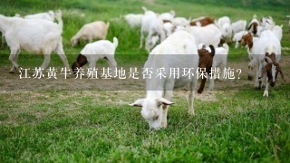 江苏黄牛养殖基地是否采用环保措施