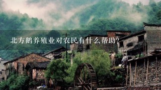 北方鹅养殖业对农民有什么帮助