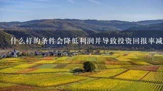 什么样的条件会降低利润并导致投资回报率减少