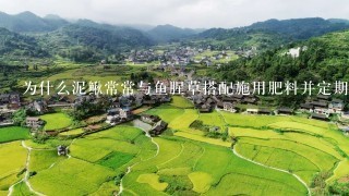 为什么泥鳅常常与鱼腥草搭配施用肥料并定期清洁池塘