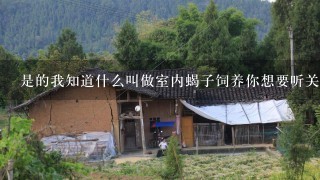 是的我知道什么叫做室内蝎子饲养你想要听关于室内蝎子饲养的信息吗