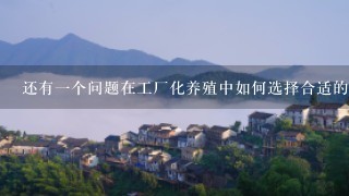 还有一个问题在工厂化养殖中如何选择合适的容器和设施