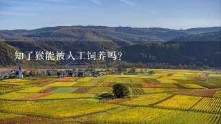 知了猴能被人工饲养吗