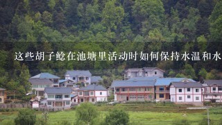 这些胡子鲶在池塘里活动时如何保持水温和水质稳定