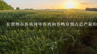 在贺州市养殖网中养鸡和养鸭分别占总产量的什么比例