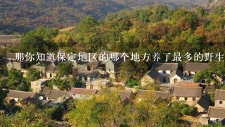 那你知道保定地区的哪个地方养了最多的野生甲鱼吗