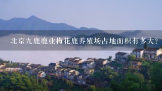 北京九鹿鹿业梅花鹿养殖场占地面积有多大